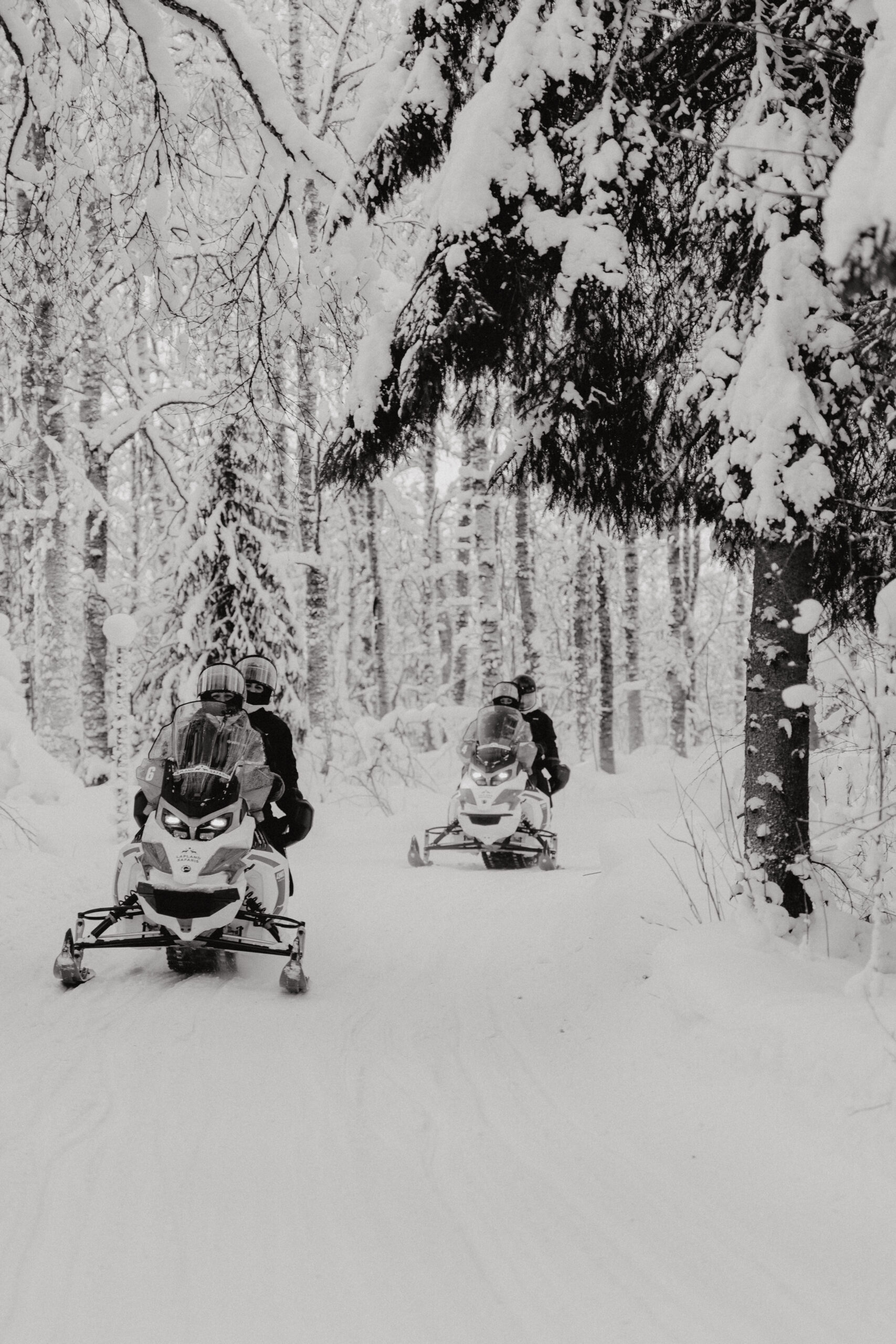 Shiseido Lapland - February 24, 2026-38